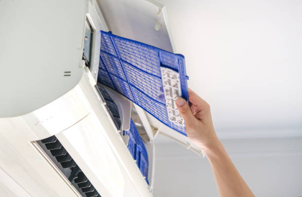 Best Affordable Duct Cleaning Services  in Fort Valley, AZ